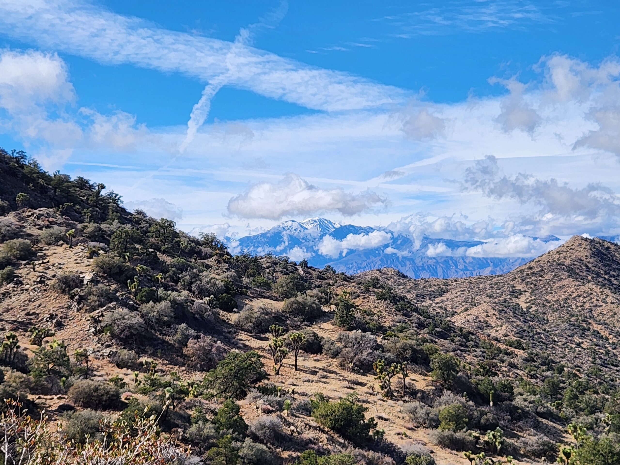 Peter’s Premarket Perspective Friday November 21, 2025