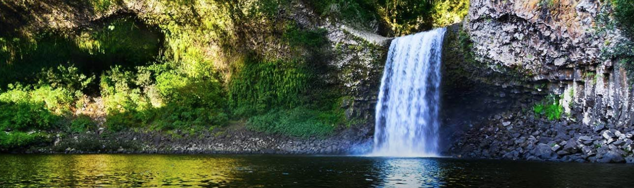 Peter’s Premarket Perspective Friday January 23, 2026