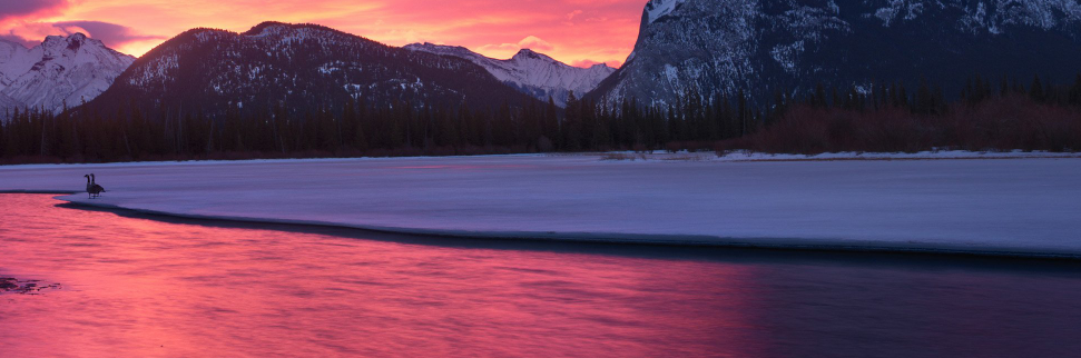 Peter’s Premarket Perspective  Wednesday February 11, 2026