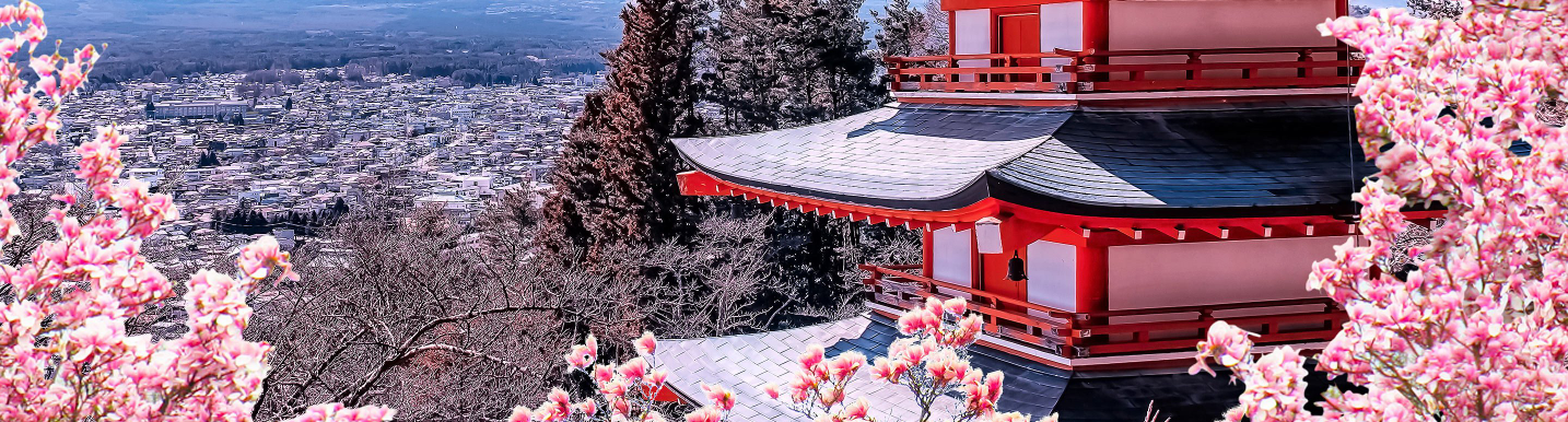 Peter’s Premarket Perspective  Thursday February 19, 2026