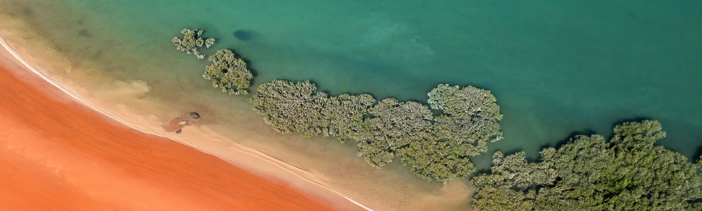 Peter’s Premarket Perspective  Friday February 27, 2026