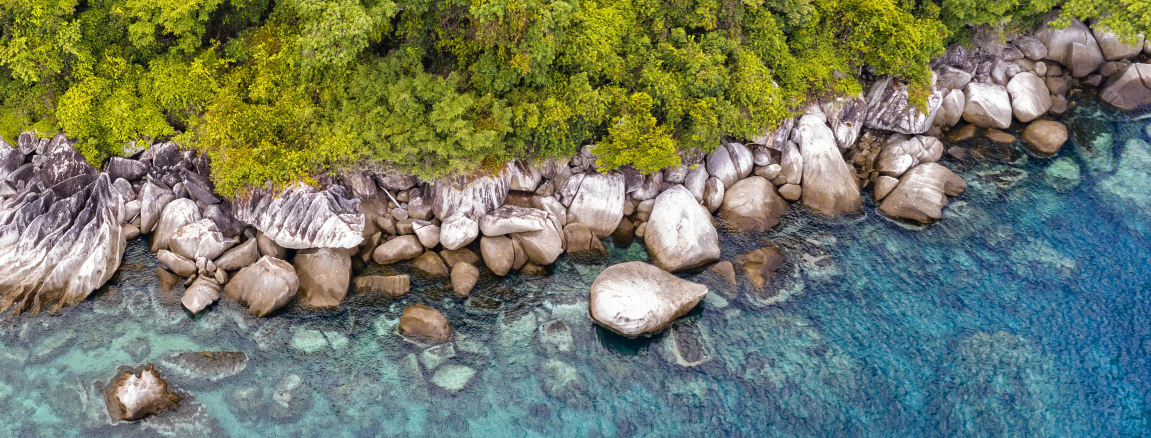 Peter’s Premarket Perspective  Monday March 2, 2026