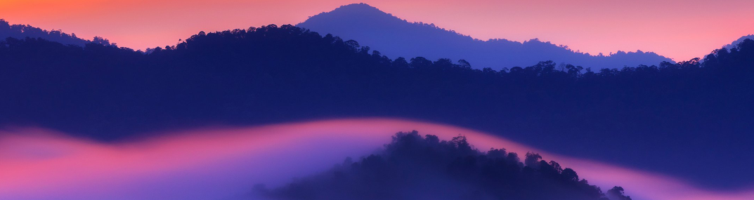 Peter’s Premarket Perspective  Thursday March 12, 2026