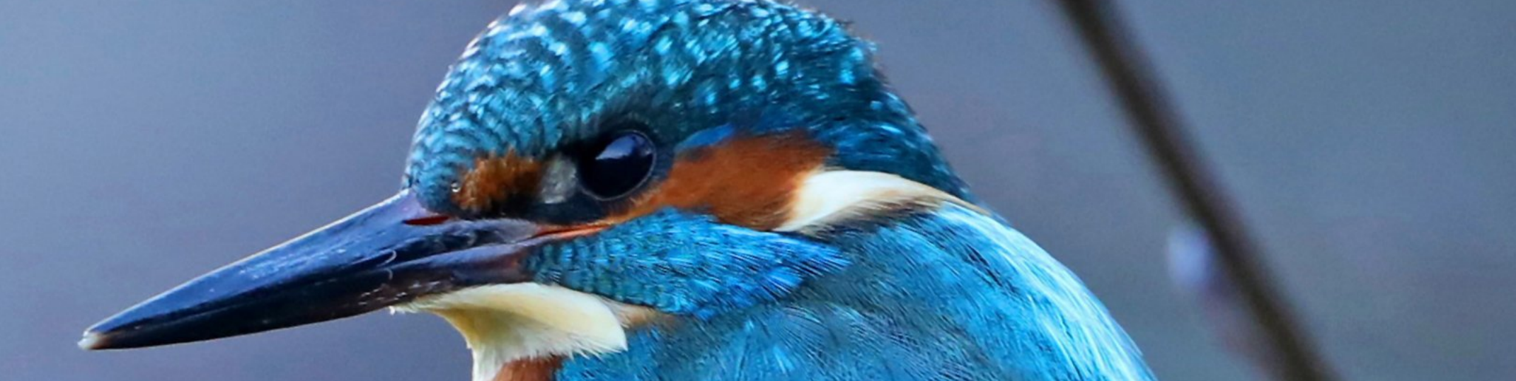 Peter’s Premarket Perspective  Tuesday, April 14, 2026