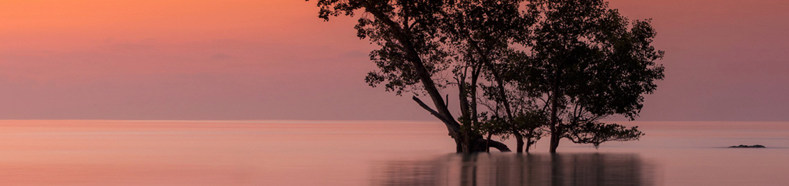 Peter’s Premarket Perspective  Thursday, April 16, 2026