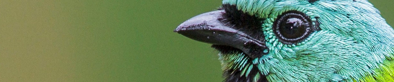 Peter’s Premarket Perspective  Monday, April 20, 2026